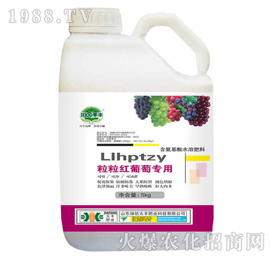 �����t���ь�(zhu��n)��-��@���S-���S�ʘI(y��)