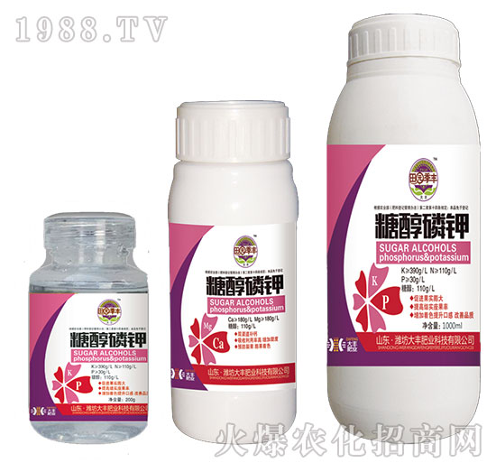 �Ǵ����-��@���S-���S�ʘI(y��)