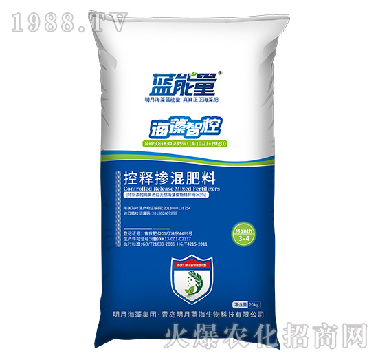 ��ጓ������-�����ǿ�-�{����