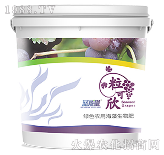 ������-�{(l��n)����