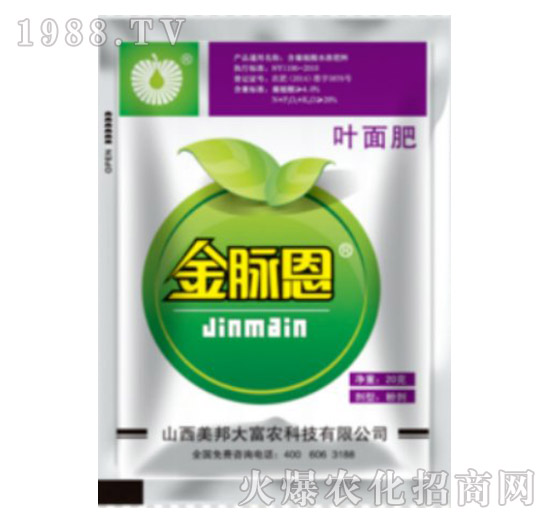 ��ֲ���~���-���}��-����Ƽ�