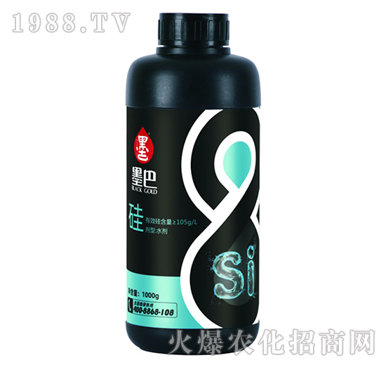 ī�͹�-������