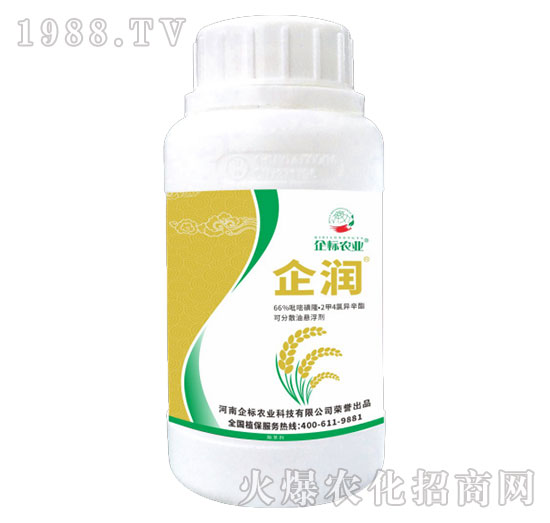 66%���׻�¡��2��4�Ȯ�����-��-���(bi��o)