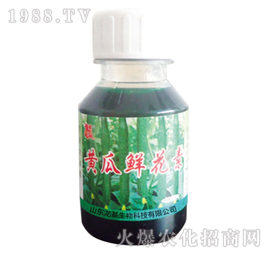 �S���r����-��������