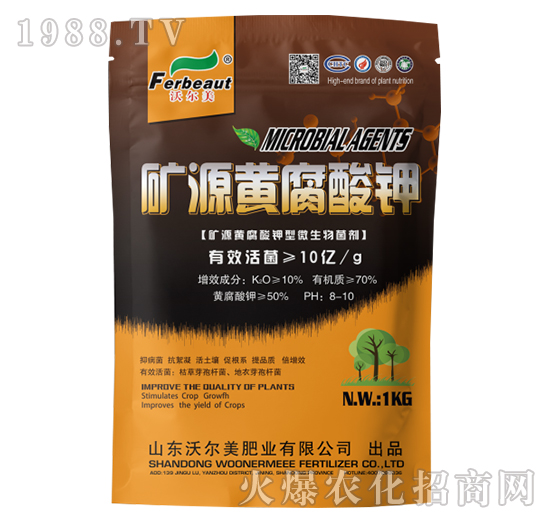 �VԴ�S�����-�֠���