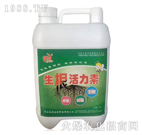 ����������-�����t