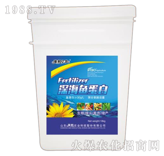 ��~(y��)����-Ӣ��