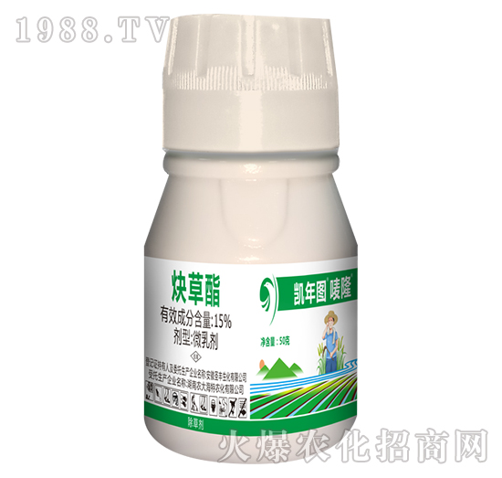 15Ȳ����-�O¡-�P��D