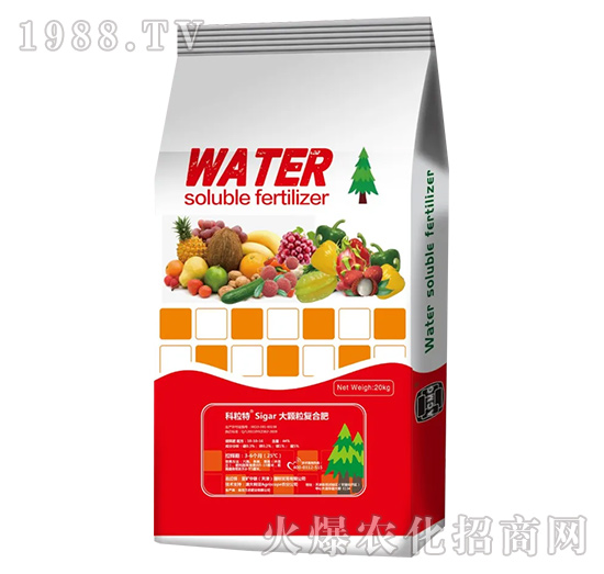 ���w����ጷ�-���V��(li��n)