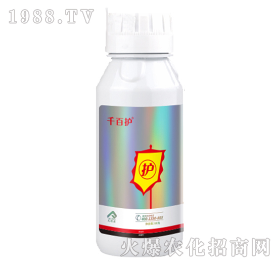 22%���ѡ��������x-ǧ���o(h��)-�����r(n��ng)