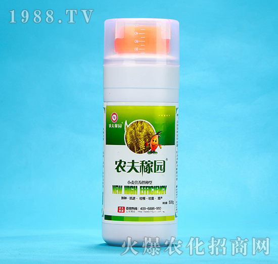 С���I(y��ng)�B(y��ng)��N��-�r(n��ng)��ڈ@