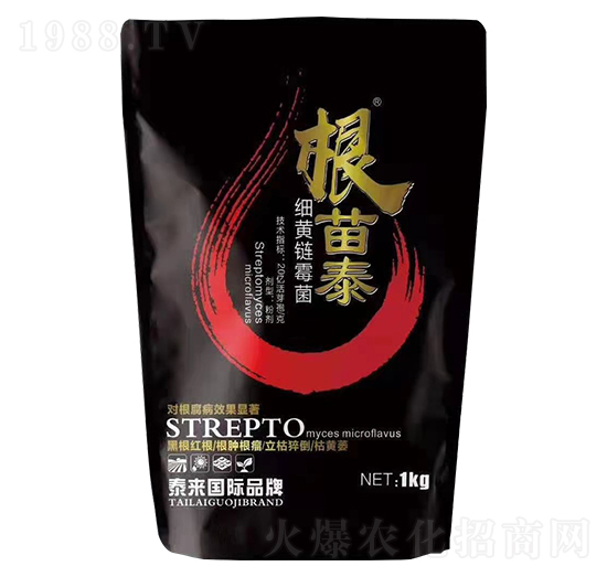 ��(x��)�S�ù��-����̩-̩��(l��i)�ʘI(y��)