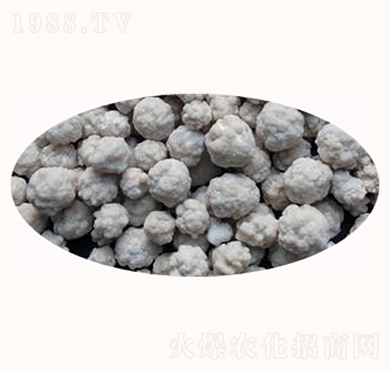 �����{���}-����ʘI(y��)