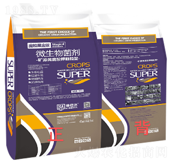 ħ���ڽ�̼-���_