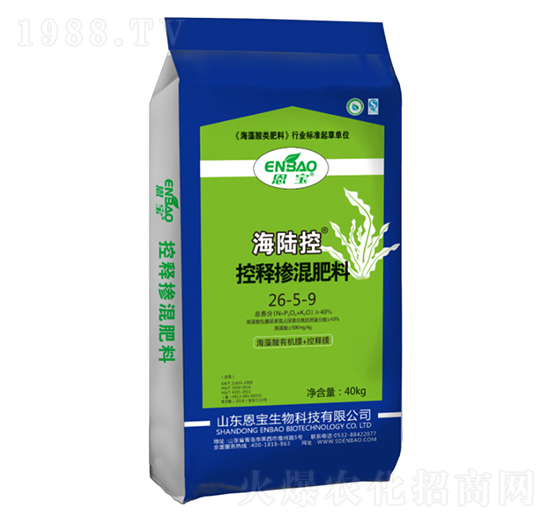 ��ጓ������26-5-9-��ꑿ�-����