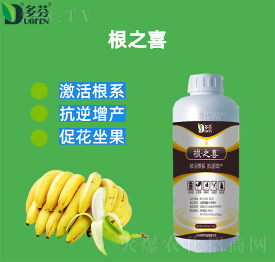 ��֮ϲ-����r�I(y��)