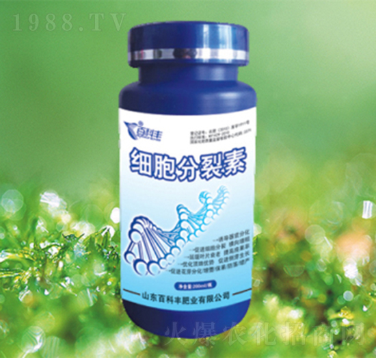 ����������-�ٿ��S