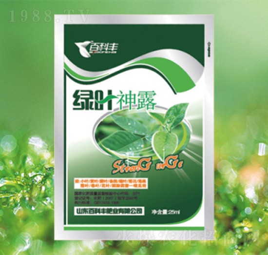 �G�~��¶-�ٿ��S