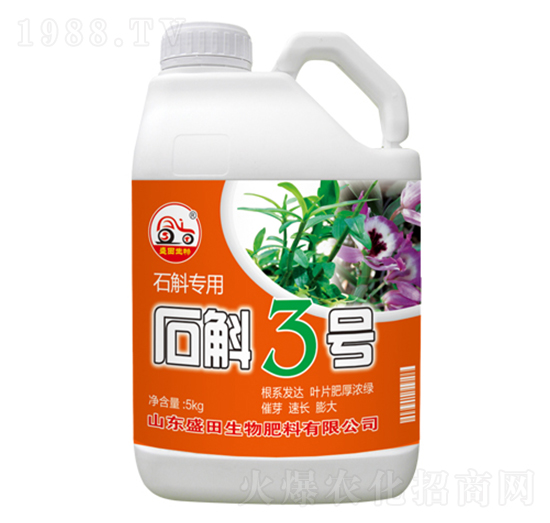 ʯ������-ʯ��3̖(h��o)-ʢ������