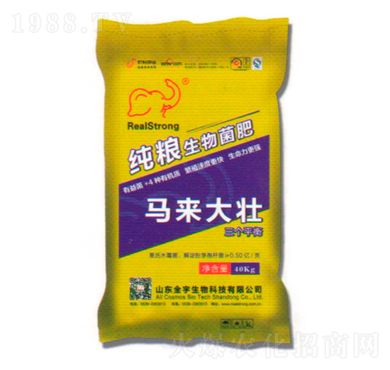 ���Z�������-�R�����-ȫ������