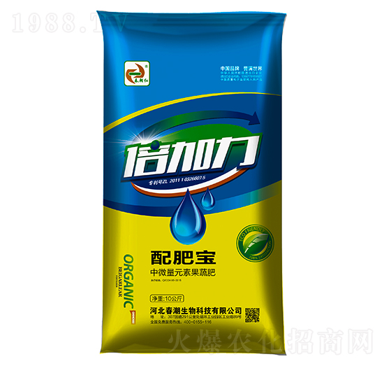 ��������ʌ�-�����t