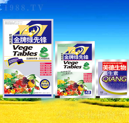 �G���h-��������