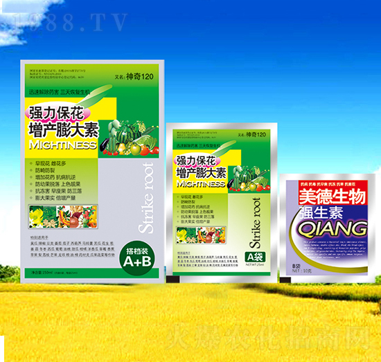 �������a(ch��n)�����-��������