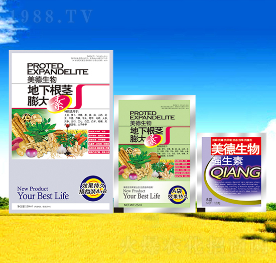 ���¸��o�����-��������