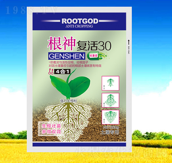 �����(f��)��30-��������