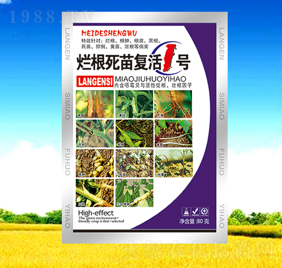 ���������(f��)��1̖(h��o)-��������