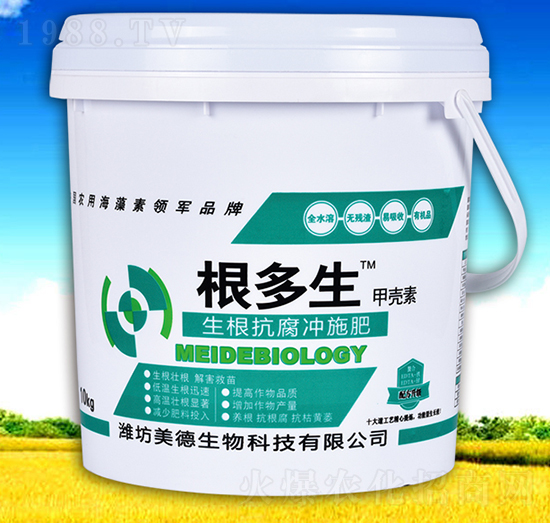 ���������_ʩ��-������-��������