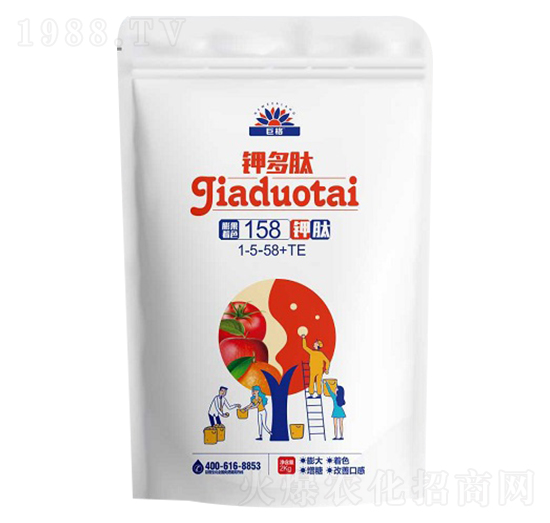 ⛶���1-5-58+TE-�޸�����