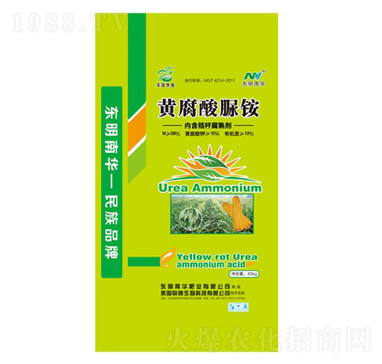 �S�������@-���A�ʘI(y��)