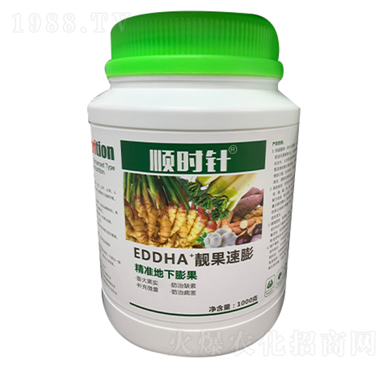 ����(zh��n)�������-�n������-형r(sh��)�