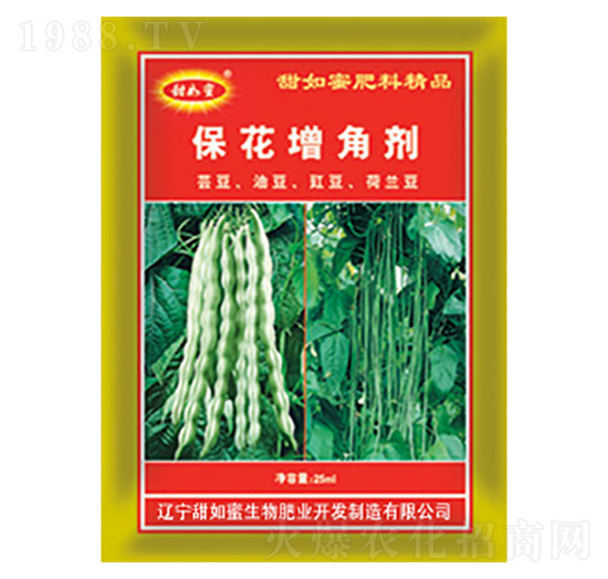 �������Ǆ�-������