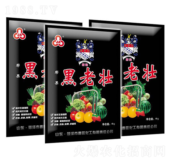 ���ω�-��������