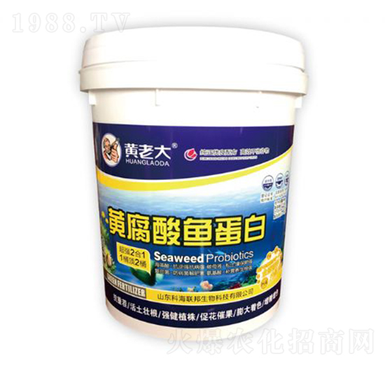 �S�����~(y��)����-�S�ϴ�-�ƺ�(li��n)��