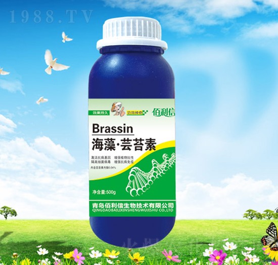 ���塤�|̦��-��Ұ�r��