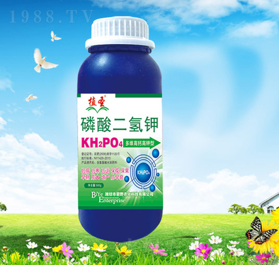 ֲʥ��������-��Ұ�r��