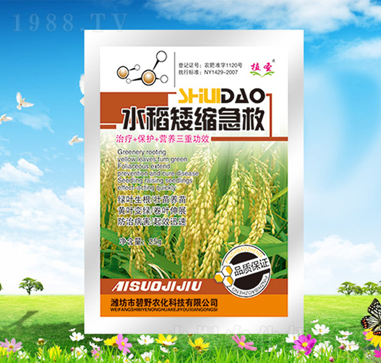 ˮ�����s����-ֲʥ-��Ұ�r(n��ng)��