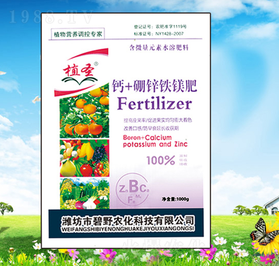 1000g�}+���\�F�V��-ֲʥ-��Ұ�r��