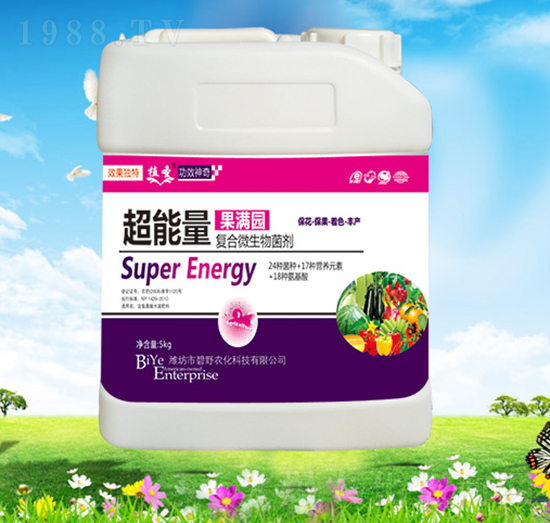 ���������M�@-ֲʥ-��Ұ�r��