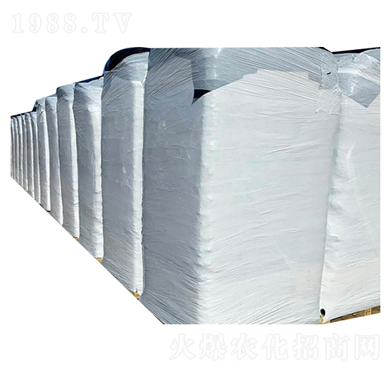 6000L�M(j��n)����̿��-�۱���