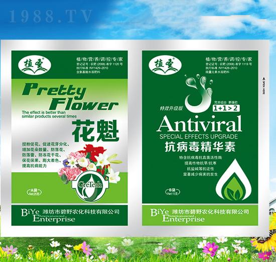 ����+���������A��-ֲʥ-��Ұ�r(n��ng)��