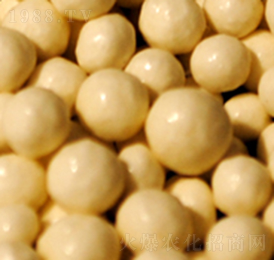 ��֬�\�ʾ����-�����S