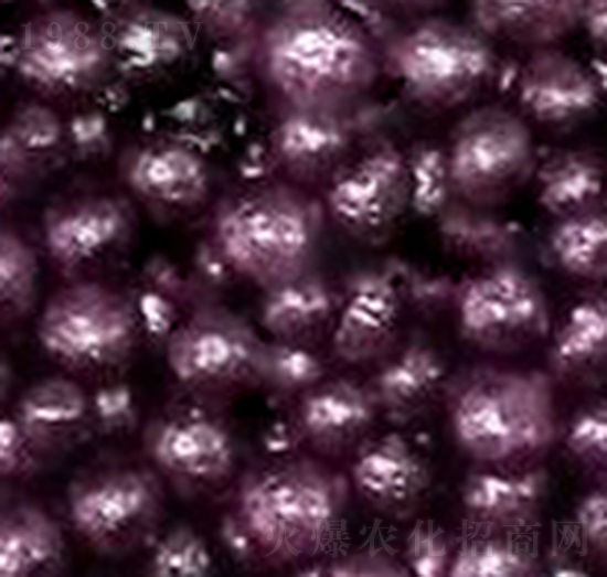 ��֬�ЙC��-�����S