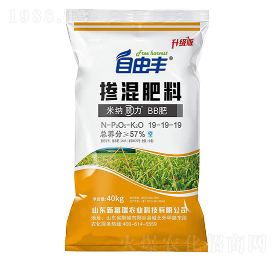 �������19-19-19-�����S-�\���Ƽ�