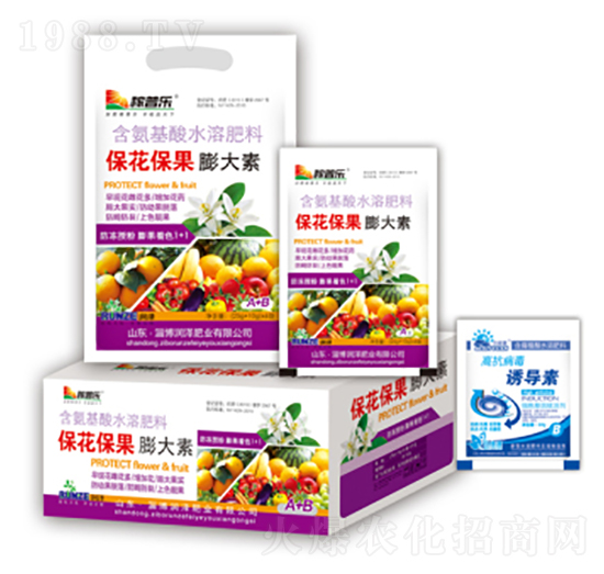 �������������-���ɷʘI(y��)