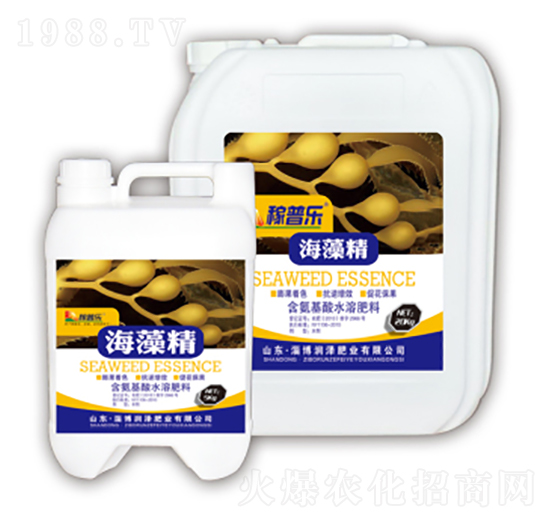 ���徫-���՘�-��(r��n)�ɷʘI(y��)