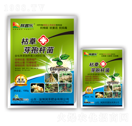 �ݲ�ѿ�ߗU��-���՘�-���ɷʘI(y��)